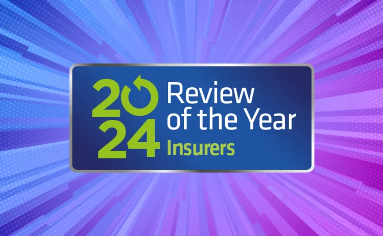 Review of the year 2024 Insurers